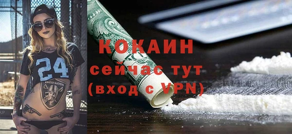 молекула духа Алексин