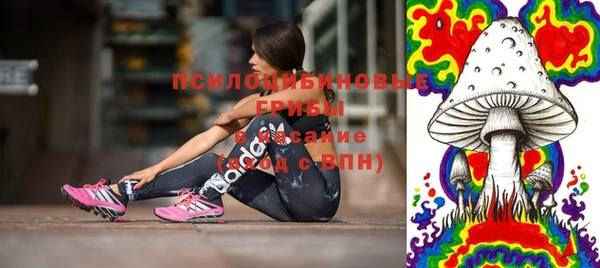 молекула духа Алексин