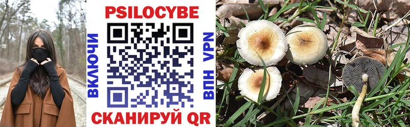 kraken ONION  как найти закладки  Нюрба  Галлюциногенные грибы Cubensis 